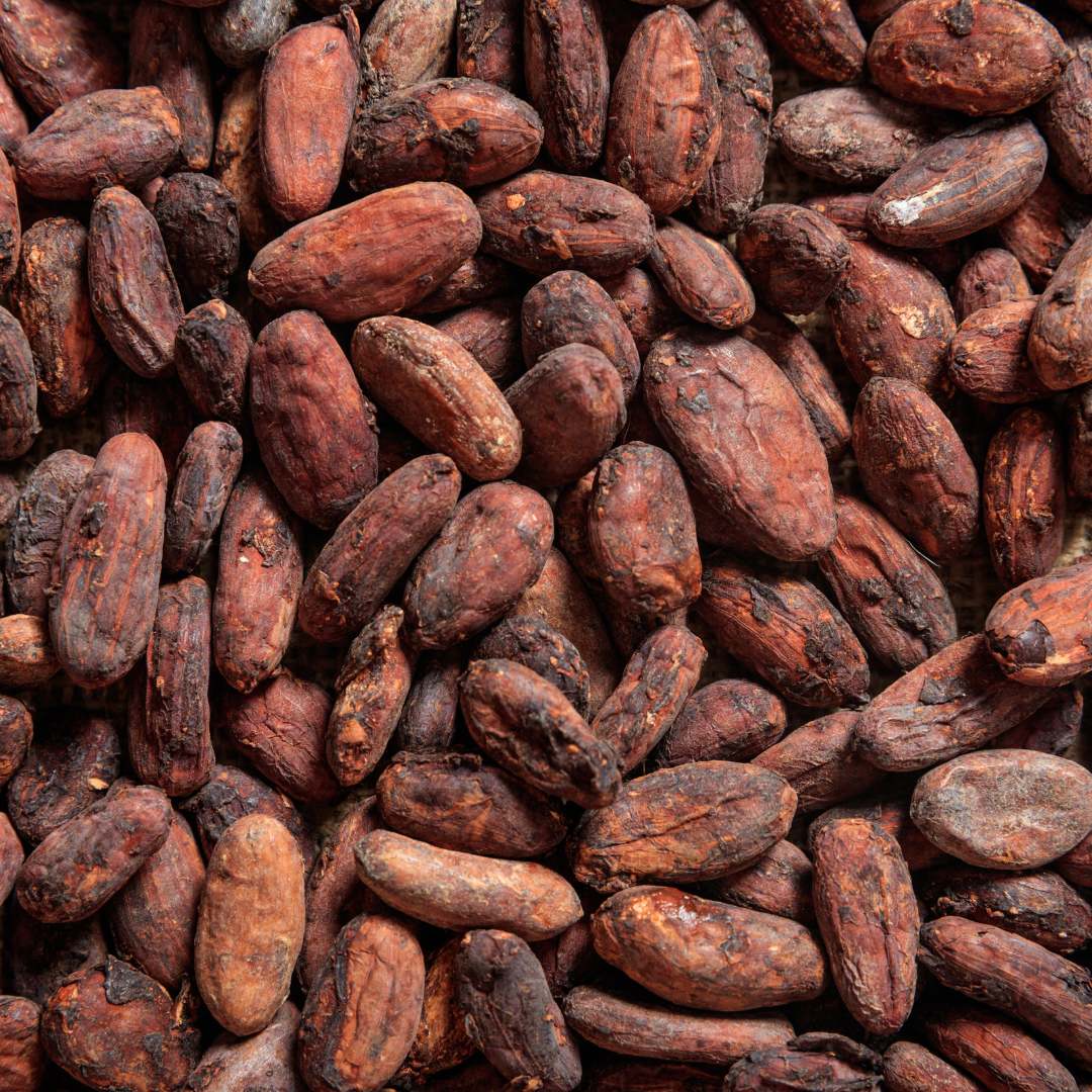Feves de cacao brutes, ingredient essentiel des cereales Magic Morning, riches en fibres et en proteines, avec un faible taux de sucre pour un petit-dejeuner sain et equilibre.