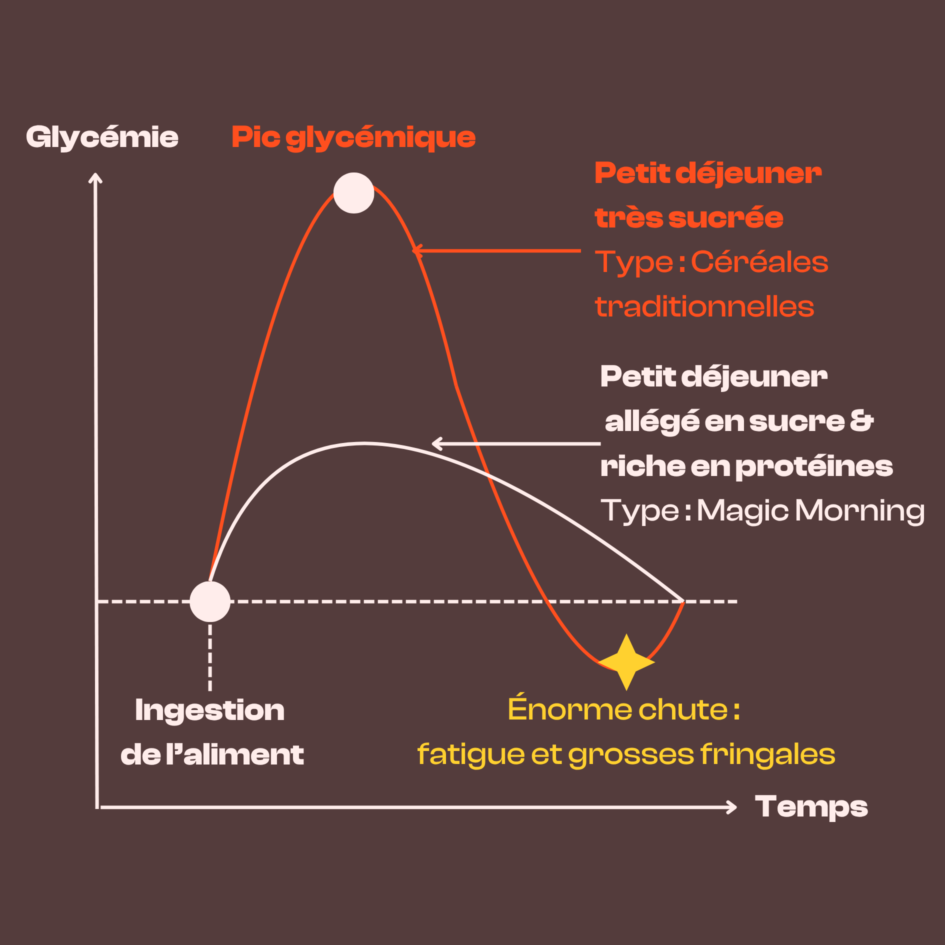 Graphique comparant l'impact glycémique des céréales traditionnelles et des céréales protéinées Magic Morning