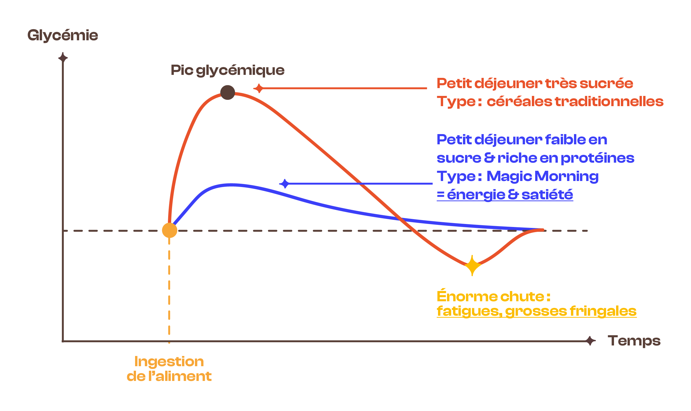 Graphique montrant l'impact glycémique d'un petit-déjeuner sucré versus un petit-déjeuner riche en protéines Magic Morning. Courbe rouge : pic glycémique élevé et chute brutale. Courbe bleue : énergie stable et satiété.