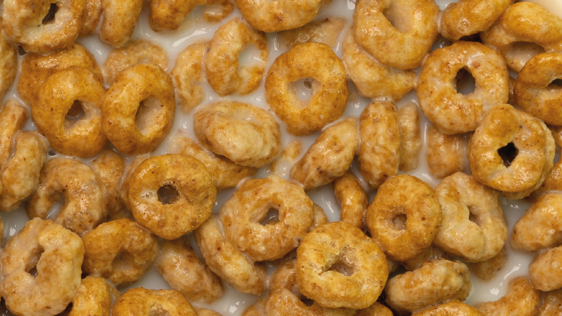 Gros plan sur des cereales Magic Morning saveur peanut butter trempees dans du lait, mettant en avant leur texture croustillante et leur enrobage gourmand. Cereales saines, riches en fibres et proteines, faibles en sucre.