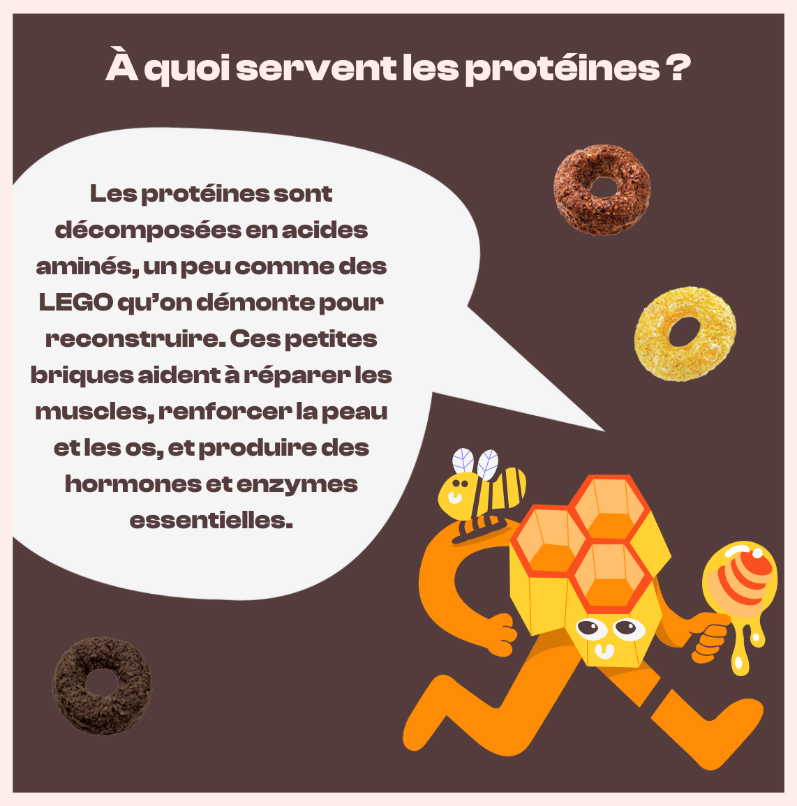  Illustration educative sur le role des proteines avec une mascotte en forme de rayon de miel, une abeille et des cereales Magic Morning, riches en fibres et proteines, faibles en sucre.