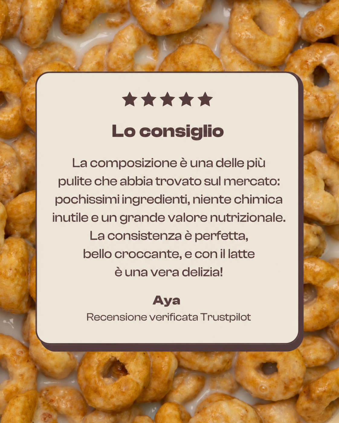 avis_it_1.png